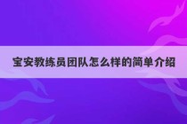 宝安教练员团队怎么样的简单介绍