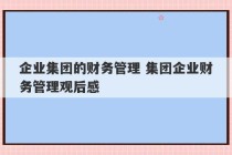 企业集团的财务管理 集团企业财务管理观后感