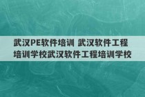 武汉PE软件培训 武汉软件工程培训学校武汉软件工程培训学校