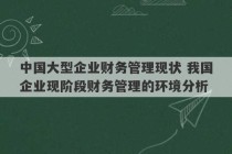 中国大型企业财务管理现状 我国企业现阶段财务管理的环境分析