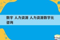 数字 人力资源 人力资源数字化咨询