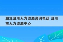 湖北汉川人力资源咨询电话 汉川市人力资源中心