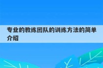 专业的教练团队的训练方法的简单介绍