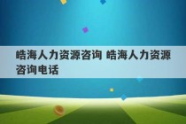 皓海人力资源咨询 皓海人力资源咨询电话