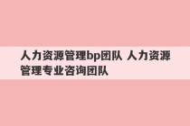 人力资源管理bp团队 人力资源管理专业咨询团队