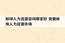 蚌埠人力资源咨询哪家好 安徽蚌埠人力资源市场