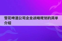 雪花啤酒公司企业战略规划的简单介绍