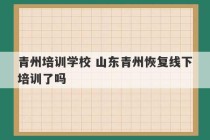 青州培训学校 山东青州恢复线下培训了吗