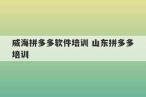 威海拼多多软件培训 山东拼多多培训