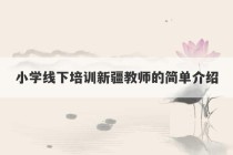 小学线下培训新疆教师的简单介绍