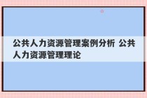 公共人力资源管理案例分析 公共人力资源管理理论