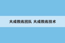 大成教练团队 大成教练技术