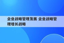 企业战略管理发展 企业战略管理增长战略