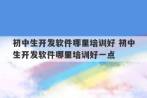 初中生开发软件哪里培训好 初中生开发软件哪里培训好一点