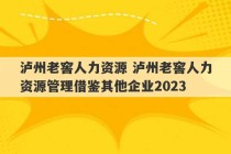 泸州老窖人力资源 泸州老窖人力资源管理借鉴其他企业2023
