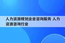 人力资源规划企业咨询服务 人力资源咨询行业