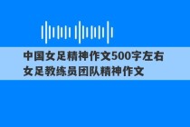 中国女足精神作文500字左右 女足教练员团队精神作文