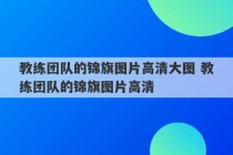 教练团队的锦旗图片高清大图 教练团队的锦旗图片高清