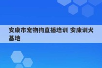 安康市宠物狗直播培训 安康训犬基地