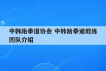 中韩跆拳道协会 中韩跆拳道教练团队介绍