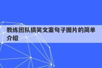 教练团队搞笑文案句子图片的简单介绍