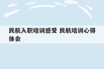 民航入职培训感受 民航培训心得体会