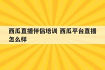 西瓜直播伴侣培训 西瓜平台直播怎么样