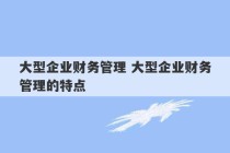 大型企业财务管理 大型企业财务管理的特点