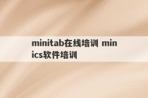 minitab在线培训 minics软件培训