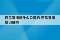 西瓜直播是什么公司的 西瓜直播培训机构