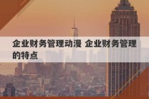 企业财务管理动漫 企业财务管理的特点