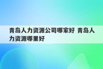 青岛人力资源公司哪家好 青岛人力资源哪里好