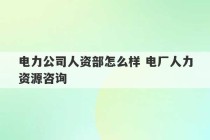 电力公司人资部怎么样 电厂人力资源咨询