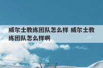 威尔士教练团队怎么样 威尔士教练团队怎么样啊