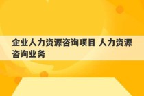 企业人力资源咨询项目 人力资源咨询业务