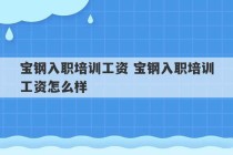 宝钢入职培训工资 宝钢入职培训工资怎么样