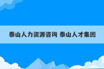 泰山人力资源咨询 泰山人才集团