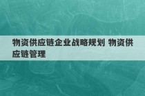 物资供应链企业战略规划 物资供应链管理