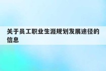 关于员工职业生涯规划发展途径的信息