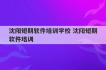 沈阳短期软件培训学校 沈阳短期软件培训