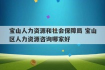 宝山人力资源和社会保障局 宝山区人力资源咨询哪家好