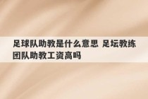 足球队助教是什么意思 足坛教练团队助教工资高吗