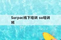 Surpac线下培训 su培训班