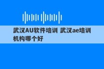 武汉AU软件培训 武汉ae培训机构哪个好