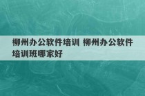 柳州办公软件培训 柳州办公软件培训班哪家好