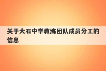 关于大石中学教练团队成员分工的信息