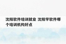 沈阳软件培训就业 沈阳学软件哪个培训机构好点