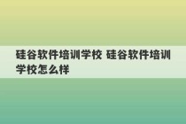 硅谷软件培训学校 硅谷软件培训学校怎么样