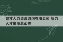 智才人力资源咨询有限公司 智力人才市场怎么样