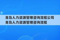 青岛人力资源管理咨询流程公司 青岛人力资源管理咨询流程